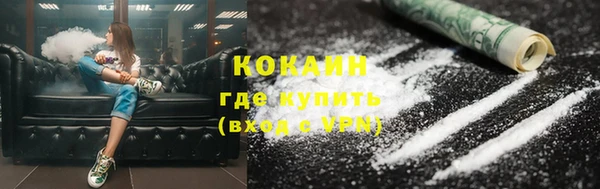 PSILOCYBIN Кукмор