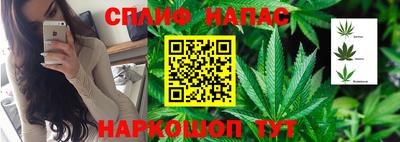 MESCALINE Гай